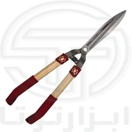 شمشاد زن تیوان